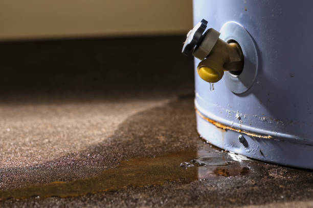 Best Water damage restoration near me  in Whitehouse, OH